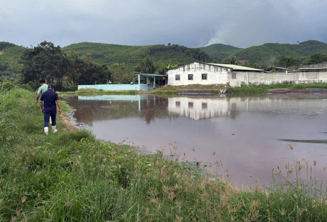 cong nghe xu ly nuoc thai chan nuoi heo