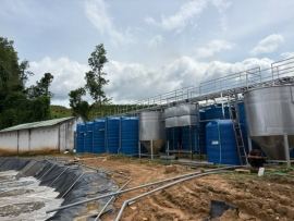 cong trinh xu ly nuoc thai cho trai heo tai binh dinh