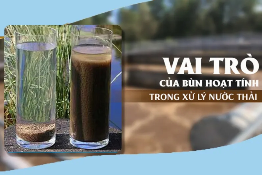 bun hoat tinh ly nuoc thai