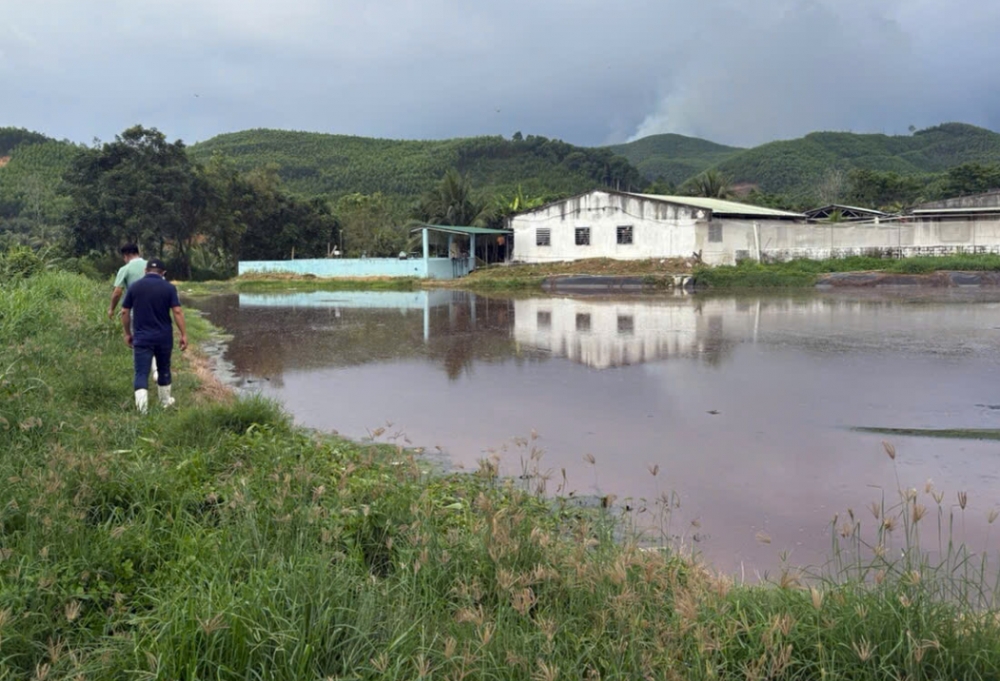 cong nghe xu ly nuoc thai chan nuoi heo