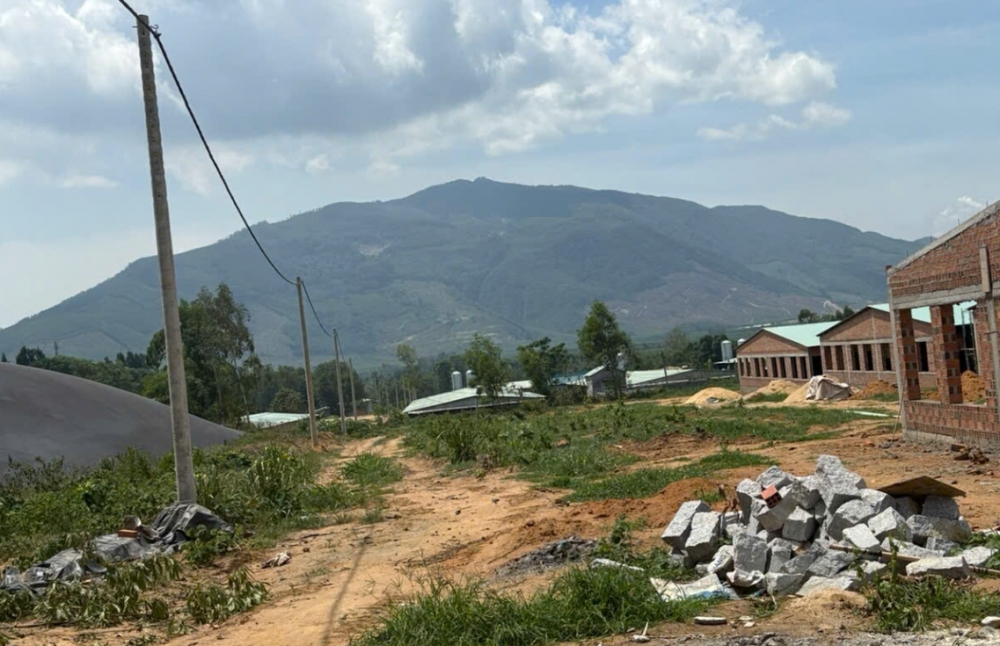 xu ly nuoc thai chan nuoi heo