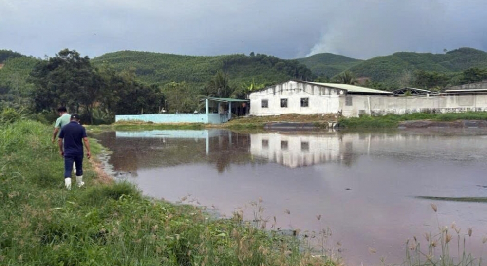 xu ly nuoc thai cho trai heo tai binh dinh