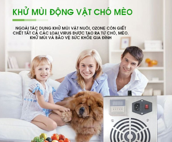 dich vu khu mui hoi tan nha